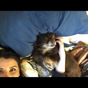 Meet your Posher, Danielle